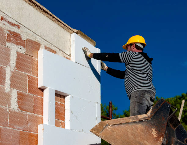 Best Insulation for New Construction  in Cedar Point, NC
