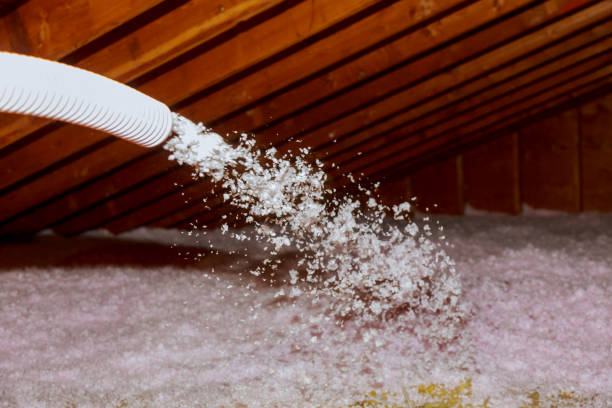 Best Spray Foam Insulation  in Cedar Point, NC