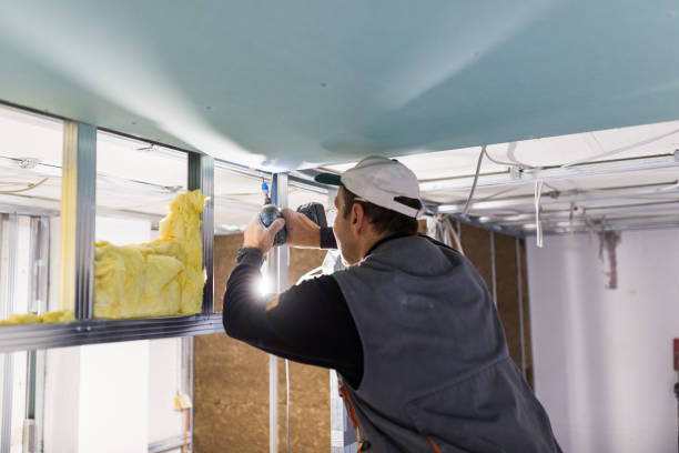 Insulation Repair Services in Cedar Point, NC