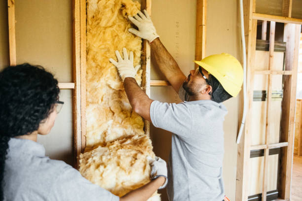 Best Local Insulation Services  in Cedar Point, NC