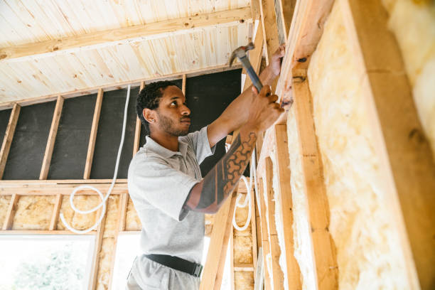 Best Home Insulation Services  in Cedar Point, NC