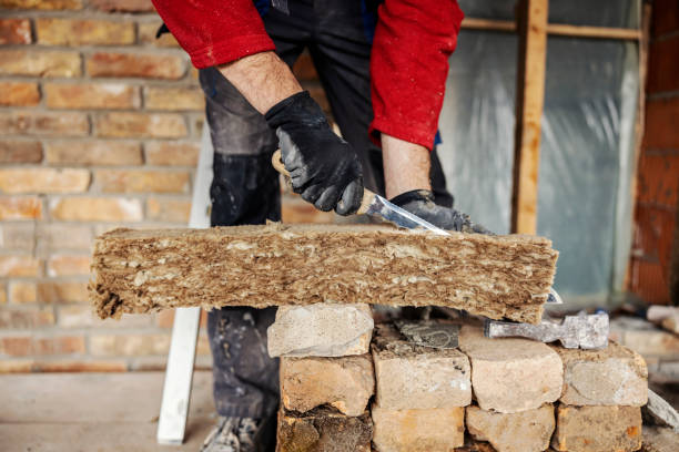 Best Residential Insulation Services  in Cedar Point, NC
