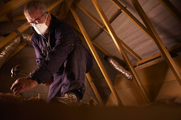 Best Commercial Insulation Contractor  in Cedar Point, NC